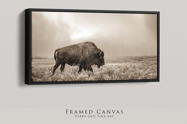 Debra Gail Fine Art 20x10 Black Float Framed Canvas AMERICAN BUFFALO PANORAMIC IN SEPIA 2:1 No. 4148