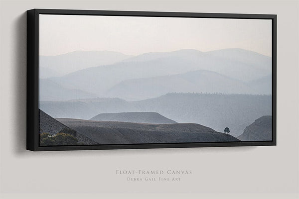 Debra Gail Fine Art 20x10 Black Float Framed Canvas Solitary Tree in the Misty Wyoming Mountains - Fine Art Landscape