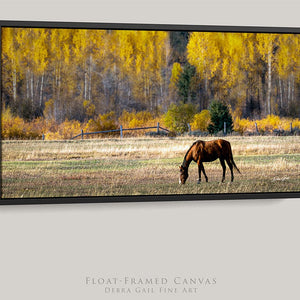 Debra Gail Fine Art 20x10 Black Float Framed Canvas Western Horse Art Print | Wyoming Rustic Wall Art