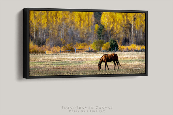 Debra Gail Fine Art 20x10 Black Float Framed Canvas Western Horse Art Print | Wyoming Rustic Wall Art