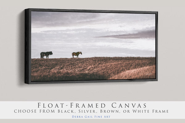 Debra Gail Fine Art 20x10 Black Float Framed Canvas WILD HORSES - KANSAS FLINT HILLS ART PRINT 2:1