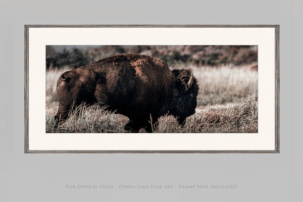 Debra Gail Fine Art 20x10 Print AMERICAN BISON PANORAMIC PHOTOGRAPHY 2:1