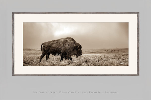 Debra Gail Fine Art 20x10 Print AMERICAN BUFFALO PANORAMIC IN SEPIA 2:1 No. 4148