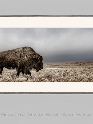 Buffalo Bison wall art canvas – rustic prairie photography print by Debra Gail Fine Art