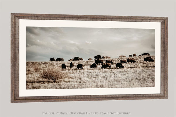 Debra Gail Fine Art 20x10 Print Panoramic Bison Herd | Rustic Western Decor