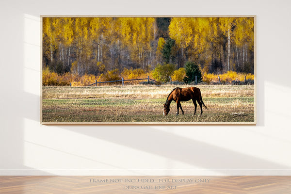 Debra Gail Fine Art 20x10 Print Western Horse Art Print | Wyoming Rustic Wall Art