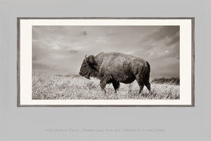 Debra Gail Fine Art 20x10 Print WIDE BISON WALL ART - PANORAMIC PICTURE
