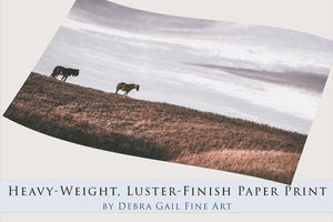 Wild Horse wall art – rustic Western fine art print by Debra Gail Fine Art