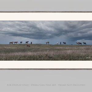 Debra Gail Fine Art 20x10 Print WILD HORSES - STORMY KANSAS SKY 2:1