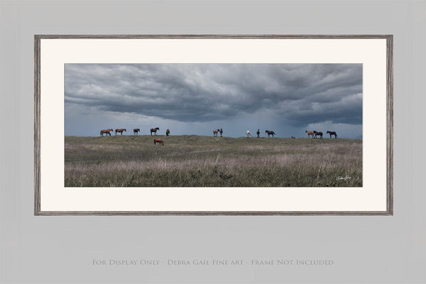 Debra Gail Fine Art 20x10 Print WILD HORSES - STORMY KANSAS SKY 2:1