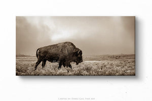 Panoramic bison wall art cow canvas print – wide Western ranch décor