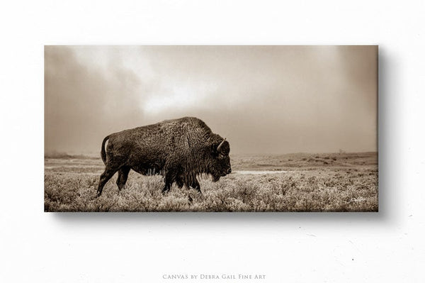 Debra Gail Fine Art 20x10 Solid Face Canvas AMERICAN BUFFALO PANORAMIC IN SEPIA 2:1 No. 4148