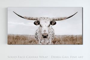 Panoramic Texas Longhorn wall art cow canvas print – wide Western ranch décor