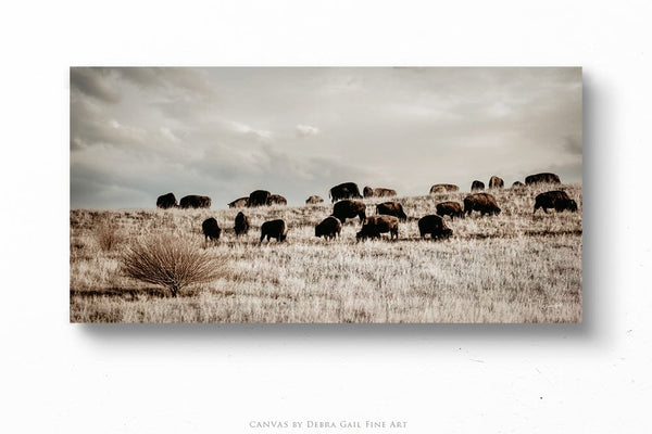 Debra Gail Fine Art 20x10 Solid Face Canvas Panoramic Bison Herd | Rustic Western Decor