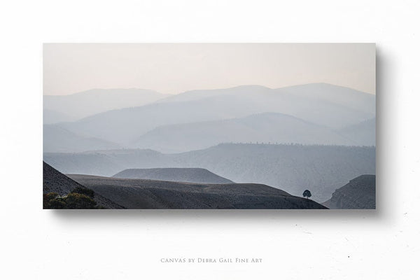 Debra Gail Fine Art 20x10 Solid Face Canvas Solitary Tree in the Misty Wyoming Mountains - Fine Art Landscape