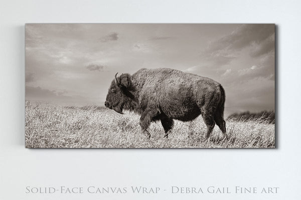 Debra Gail Fine Art 20x10 Solid Face Canvas WIDE BISON WALL ART - PANORAMIC PICTURE