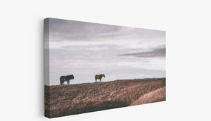 Wild Horse wall art – rustic Western fine art print by Debra Gail Fine Art