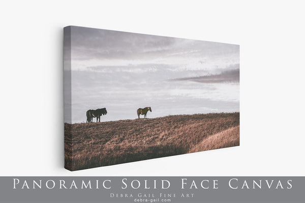 Debra Gail Fine Art 20x10 Solid Face Canvas WILD HORSES - KANSAS FLINT HILLS ART PRINT 2:1