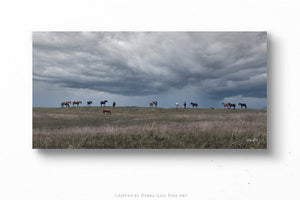 Wild Horse wall art – rustic panoramic Western fine art print by Debra Gail Fine Art