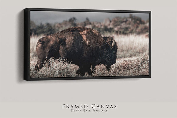 Debra Gail Fine Art 20x10 Walnut Float Framed Canvas AMERICAN BISON PANORAMIC PHOTOGRAPHY 2:1