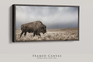 Buffalo Bison wall art canvas – rustic prairie photography print by Debra Gail Fine Art