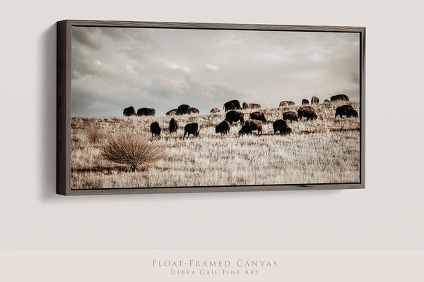 Debra Gail Fine Art 20x10 Walnut Float Framed Canvas Panoramic Bison Herd | Rustic Western Decor