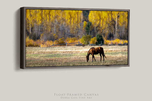 Debra Gail Fine Art 20x10 Walnut Float Framed Canvas Western Horse Art Print | Wyoming Rustic Wall Art