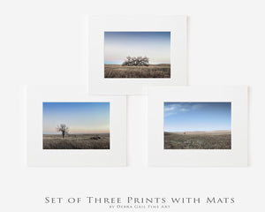 Set of 3 Flint Hills wall art – sunrise prairie landscape photography by Debra Gail Fine Art