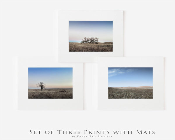 Debra Gail Fine Art 3 5x7 Prints with 8x10 Mats / Color SET OF 3 WESTERN GOTHIC TREE PRINTS IN BLUE TONES