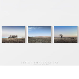 Set of 3 Flint Hills wall art – sunrise prairie landscape photography by Debra Gail Fine Art