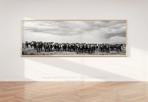 Angus cow wall art canvas print  – Western ranch fine art photography by Debra Gail Fine Art