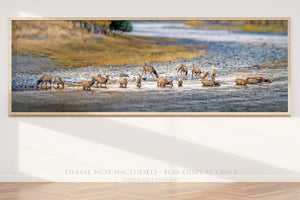 Panoramic elk wall art canvas print – wide Western ranch décor