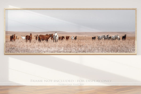 Debra Gail Fine Art 30x10 Print WILD HORSES PANORAMIC PRINT - KANSAS PHOTOGRAPHY 3:1