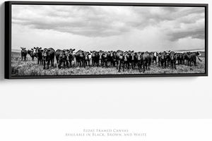 Angus cow wall art canvas print  – Western ranch fine art photography by Debra Gail Fine Art