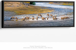 Panoramic elk wall art canvas print – wide Western ranch décor