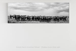 Angus cow wall art canvas print  – Western ranch fine art photography by Debra Gail Fine Art