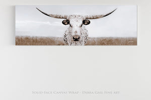 Texas Longhorn wall canvas barnwood framed Western fine art print by Debra Gail Fine Art