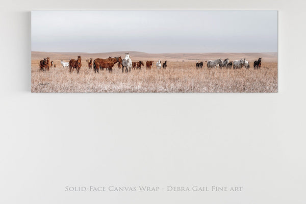 Debra Gail Fine Art 36X12 Solid-Face Canvas WILD HORSES PANORAMIC PRINT - KANSAS PHOTOGRAPHY 3:1