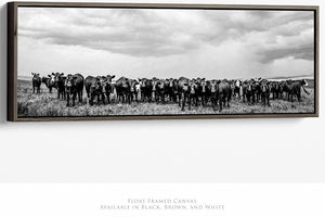 Angus cow wall art canvas print  – Western ranch fine art photography by Debra Gail Fine Art