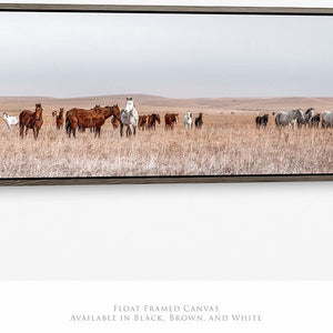 Debra Gail Fine Art 36x12 Walnut Float Framed Canvas WILD HORSES PANORAMIC PRINT - KANSAS PHOTOGRAPHY 3:1