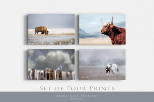 Blue wall art – set of 4 canvas prints farmhouse western decor