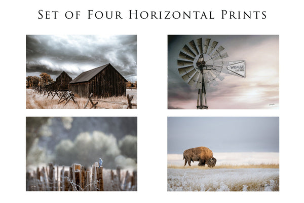 Debra Gail Fine Art 4 5x7 Prints / Color RUSTIC BARN WINDMILL BLUEBIRD BISON PRINT SET