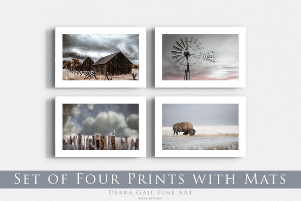 Debra Gail Fine Art 4 5x7 Prints with 8x10 Mats / Color RUSTIC BARN WINDMILL BLUEBIRD BISON PRINT SET