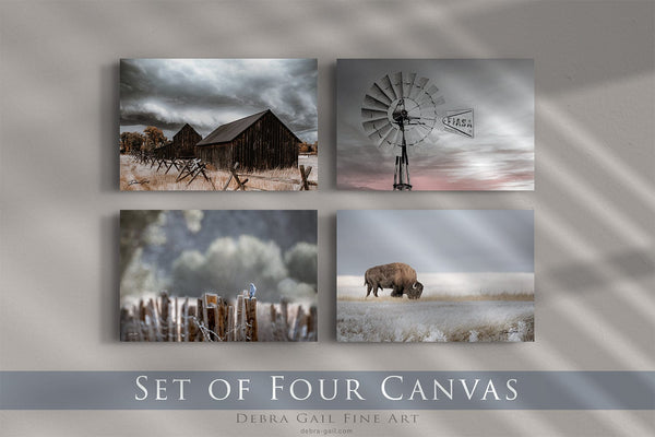 Debra Gail Fine Art 4 8x10 Canvas Wraps / Color RUSTIC BARN WINDMILL BLUEBIRD BISON PRINT SET