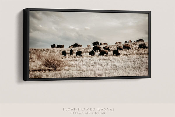 Debra Gail Fine Art 48x24 Black Float Framed Canva Panoramic Bison Herd | Rustic Western Decor