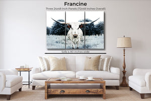 Cow triptych wall art – rustic Western split canvas photography by Debra Gail Fine Art