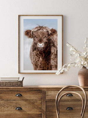 Highland cow wall art – farmhouse decor fine art photography by Debra Gail Fine Art