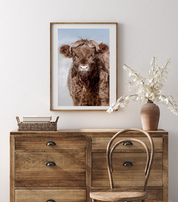 Debra Gail Fine Art ADORABLE HIGHLAND COW CALF ART PRINT - FARMHOUSE DECOR