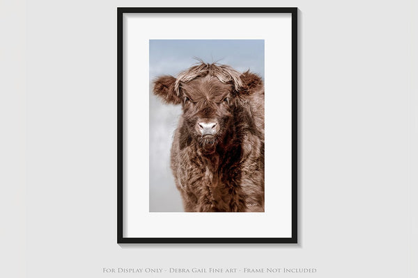 Debra Gail Fine Art ADORABLE HIGHLAND COW CALF ART PRINT - FARMHOUSE DECOR