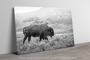 Bison wall art – black and white rustic prairie photography print by Debra Gail Fine Art